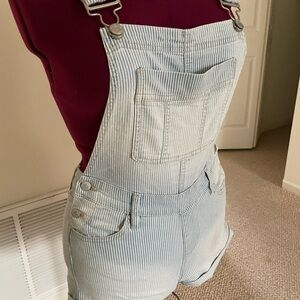 Blue Spice Women's Light Blue Striped Overalls
